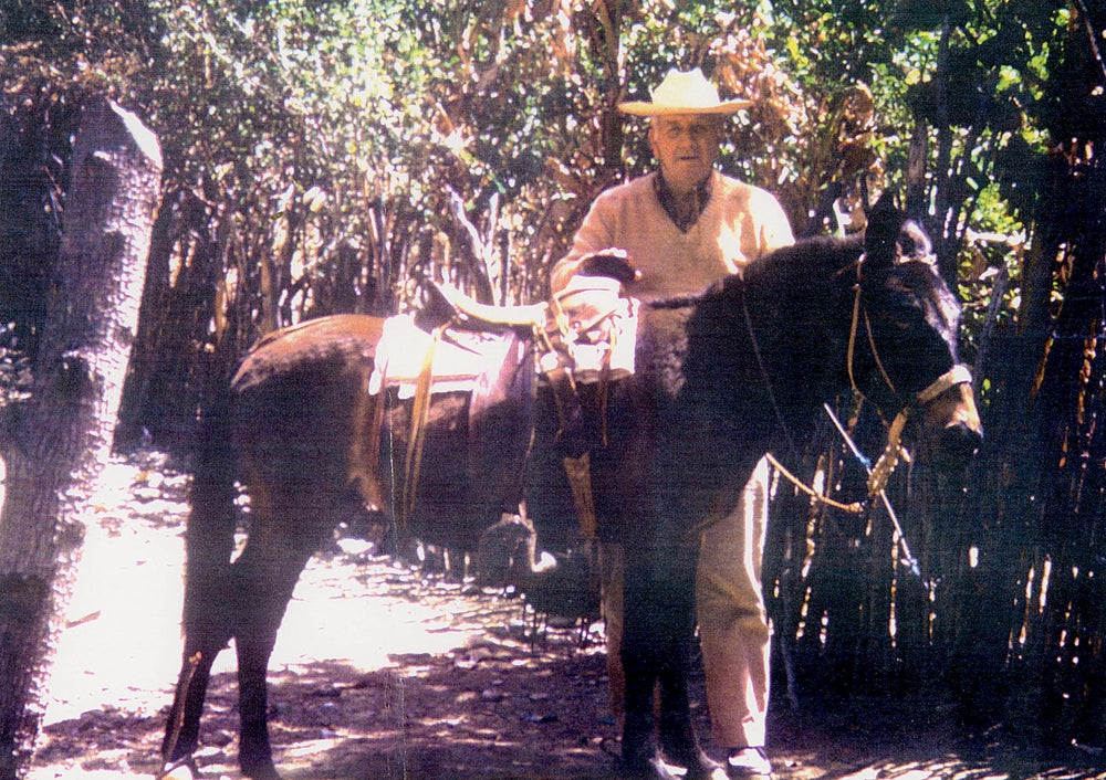 The journey that introduced Frank Jake Jacobson to ginger